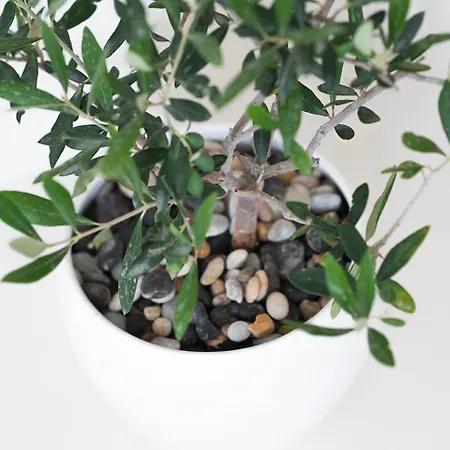 Pueblo Viejo Boutique House Kamári